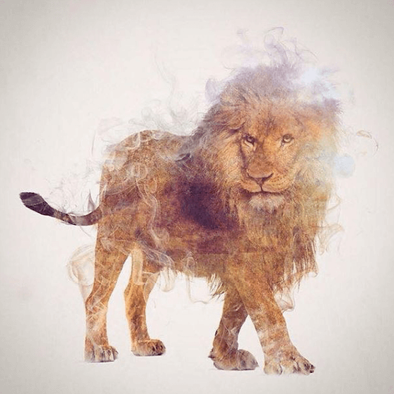 тотемное животное лев