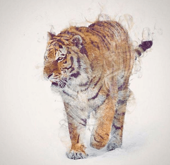 тотемное животное тигр